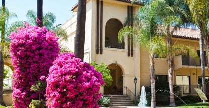 Outdoor photo of building with exterior flower garden